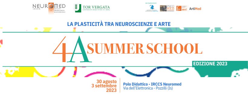 banner-grafico-con-cervello-sfondo-bianco-summer-school-2023-plasticita-neuroscienze-arte